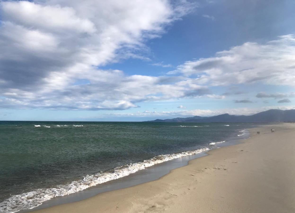 Mobil Home Camping Le Mar Estang Bord De Plage Canet-en-Roussillon Bagian luar foto